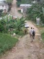 Reis Cuba november 201243